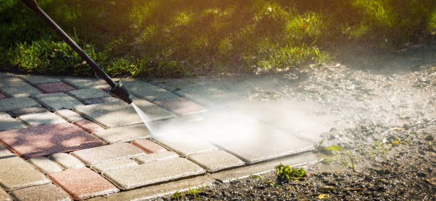 Best Gutter Cleaning  in University Park, NM